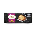 BUDIN 100 DUCADOS MARACUYA X 170 GR.
