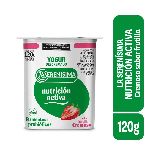 YOGUR LS NUTRICION ACTIVA FFS BATIDO DESCREMADO FRUTILLA X 120 GR