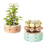 SET DE BLOQUES CRESKO PLANTS DISEÑOS SURTIDOS X UN ART. FT915