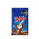 CACAO TODDY X 360 GR.