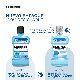 ENJUAGUE BUCAL LISTERINE ZERO CONTROL SARRO X 250 ML.