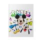 CUADERNO N°3 TAPA DURA DISNEY MICKEY RAYADO 19CM X 25CM X 64 HJ. ART 701925-C